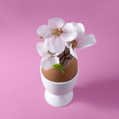 Small vase made of brown eggshell in white egg cup with apple blossoms. Easter concept. Square, pink background.