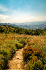 A mountain range in the Bieszczady Mountains in the area of Tarnica, Halicz and Rozsypaniec.