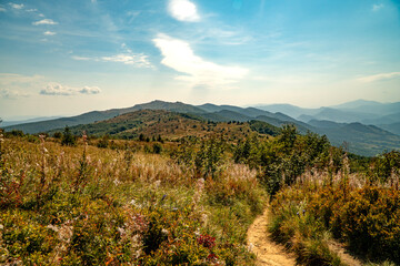 A mountain range in the Bieszczady Mountains in the area of Tarnica, Halicz and Rozsypaniec.