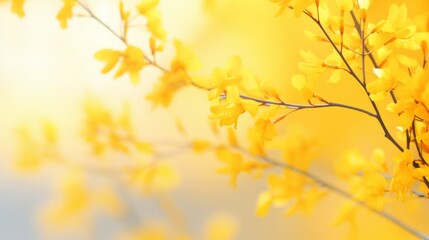 Flowering forsythia in springtime, Generative AI