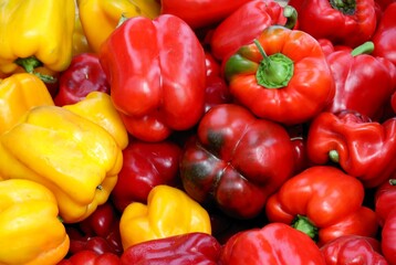 multicolor tasty peppers as wholesome vegetable