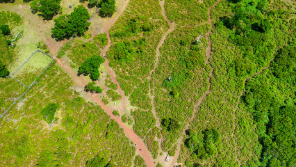 Madeira, Portugal. The magical Fanal Forest is part of the Laurisilva forest. Aerial view from...