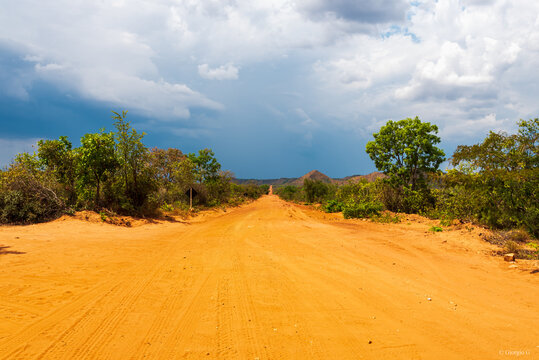 View of straight dirt road crossing Jalapao national park in Brazil