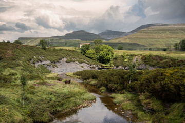 Paisaje espa;a, Pasiego, valle, caballos