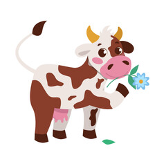 Cute spotted cow with a flower in her mouth. Farm animals. Vector graphic.