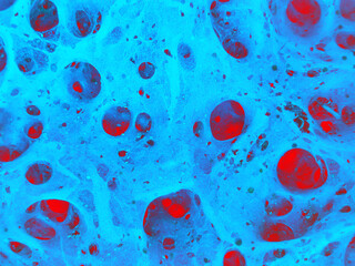 House of mold. Texture of mold and cobwebs. Tunnels of microworld space. For the background....