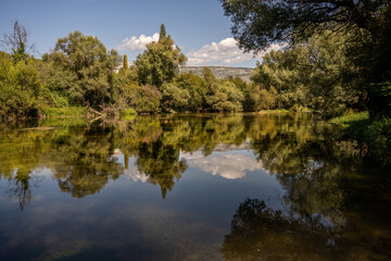 Fototapeta na wymiar reflection of trees in the lake