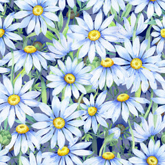 Fototapeta premium Watercolor daisies, Seamless pattern with watercolor camomile flowers and petals, floral pattern with daisies, wildflowers, summer print