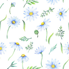 Fototapeta na wymiar Watercolor daisies, Seamless pattern with watercolor camomile flowers and petals, floral pattern with daisies, wildflowers, summer print