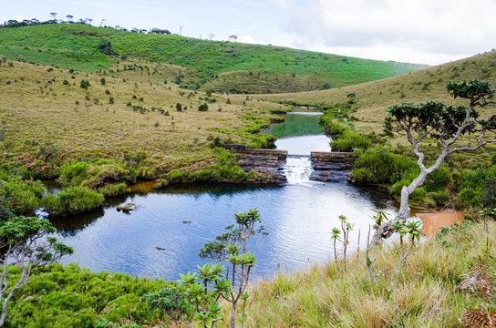 Plaines d'Horton - Adobe Stock