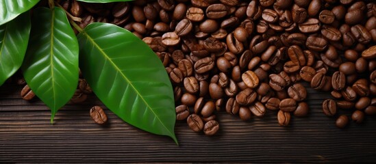 Fresh coffee beans on a wooden background with green leaves