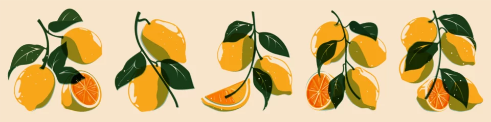 Foto op Plexiglas Lemon plant riso collection. Fresh citrus fruit for organic eco design, cartoon botanical print elements of lemon tree. Vector isolated set. Juicy natural food with vitamins, sour fruit © Frogella.stock