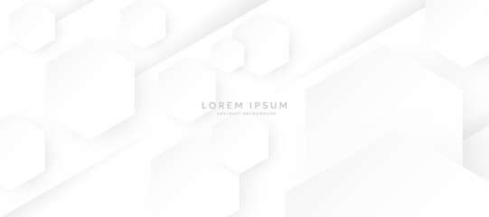 Hexagonal abstract white background. Modern minimalist hexagonal geometric background
