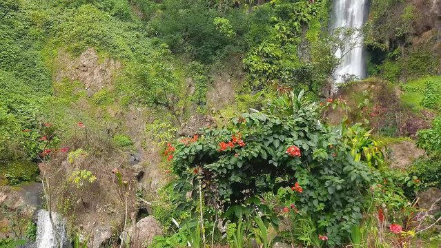The flow of water comes from Curug Bajing