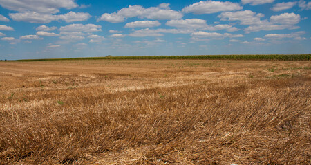 View on beautiful clouds. Perfect view of nature.