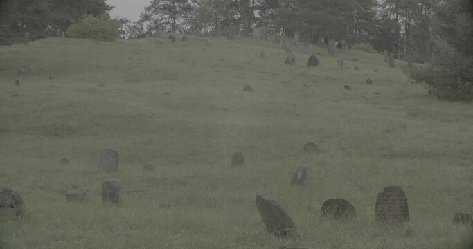 Old ancient Jewish cemetery in summer spring day. Druya, Belarus. green grass and many ancient stones. Headstone Headstones Tombstones jewish grave, clog2, clog, canon c70 c log 2.