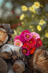 Photo of a bouquet of bright flowers in the garden.