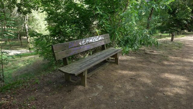 Un banc dans un parc, bois.