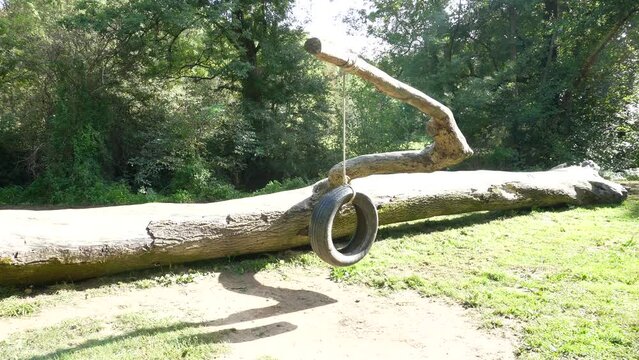 Balan&ccedil;oire fait avec une roue, dans un parc.