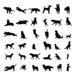 Set of vector silhouettes of different dogs on white background. - 651191974