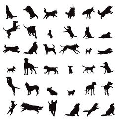Set of vector silhouettes of different dogs on white background.