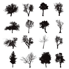 Set of vector silhouette of trees on white background. Symbol of season forest and nature.