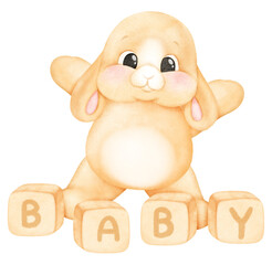 cute rabbit and toys