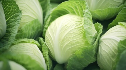 A close up of a bunch of cabbage