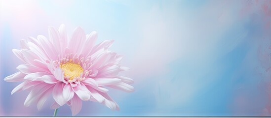 Flower flourishing in its natural habitat isolated pastel background Copy space