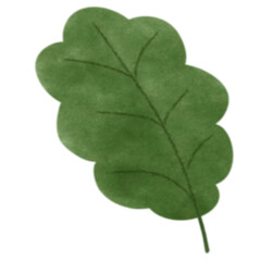 Green leaf 