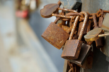 Many rusty padlocks closed on bridge fence - love concept