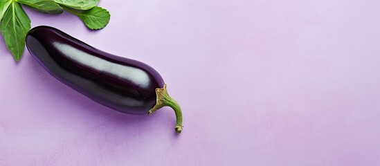 Eggplant arrangement on isolated pastel background Copy space