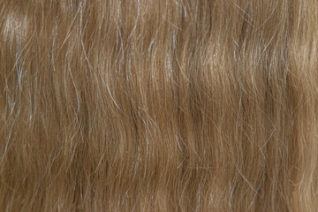 hair texture