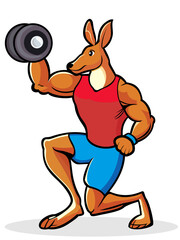 Kangaroo personal trainer lifting weights cartoon vector illustration, Kangaroo bodybuilder vector image