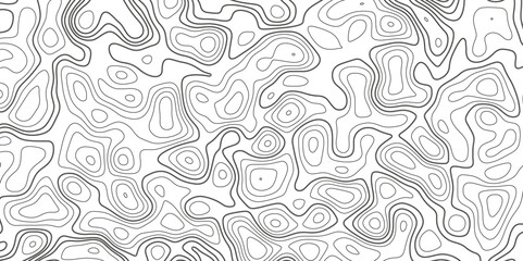 Abstract topographic contours map background. Abstract lines background. Black curved reliefs abstract background. Contour maps.