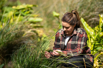 regenerative organic woman farmer, taking soil samples and looking at plant growth in a farm. practicing sustainable agriculture - obrazy, fototapety, plakaty