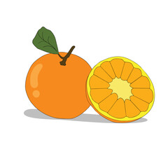 illustration of an orange cartoon