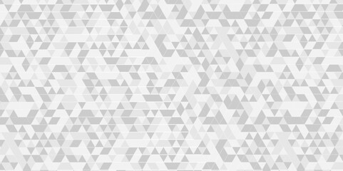 Abstract gray and white small square geomatric triangle background. Abstract geometric pattern gray and white Polygon Mosaic triangle Background, business and corporate background.