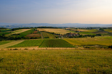 Oingt countryside, France