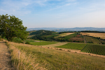 Oingt countryside, France