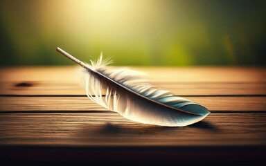 A solitary feather resting on a wooden surface.