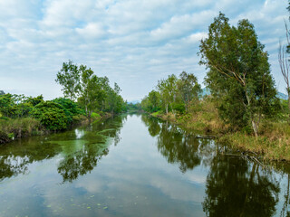 The scenery of wetland, Nam Sang Wai