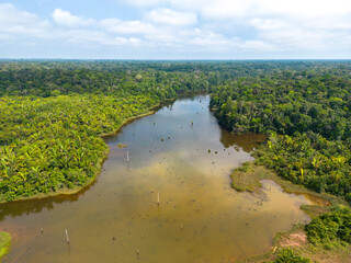 Landscape along the famous BR-319, a dirt road through the Amazon rainforest between Manaus and...