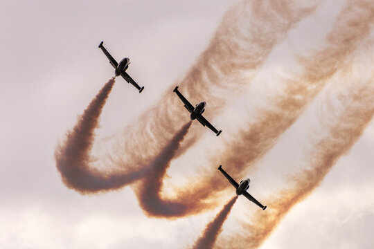 Fly & Fun L39 Albatros flight demonstration