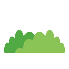 Obraz premium Grass Illustration