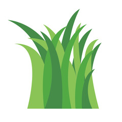 Grass Illustration