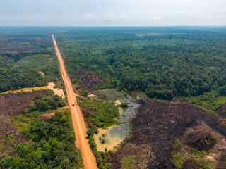 Drone shot of the famous BR-319 in dry season, a dirt road through the Amazon rainforest between...