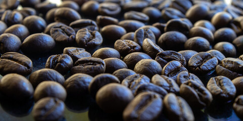 close-up of roasted coffee beans under white light