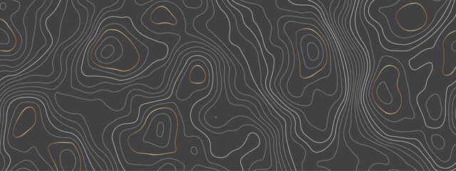 Abstract topographic contours map background. Topography white wave lines vector background. Topographic map Patterns, Topographic map and place for texture. Wavy curve lines banner design.