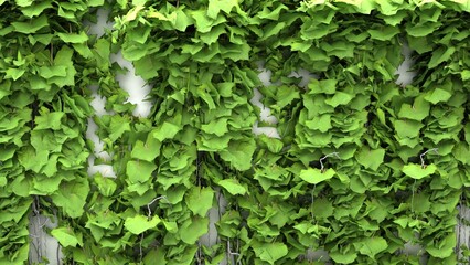 Variety of artificial plants in vertical garden, Natural background. Leaves plant wall texture design. Beautiful green leaves background. Garden and Green wall. Ecology.